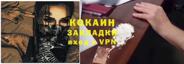 тгк Алексин