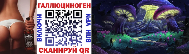 Купить где  Мензелинск  Псилоцибиновые грибы мицелий 